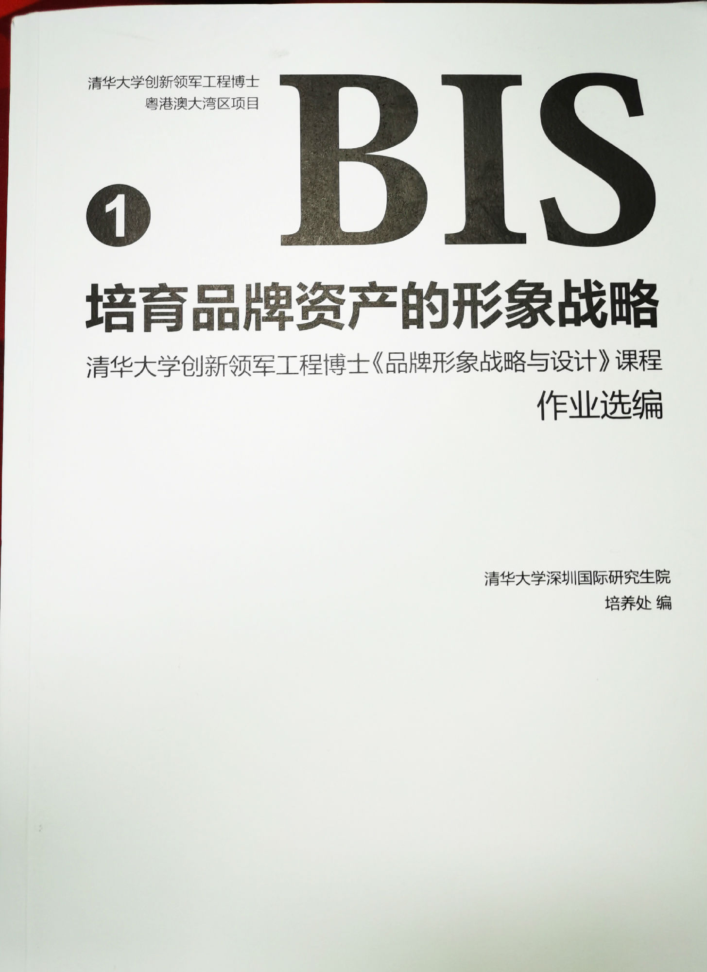 《BIS培育品牌資產(chǎn)的形象戰(zhàn)略》